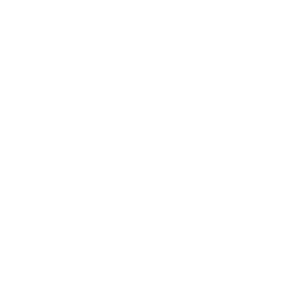 Token Lifecycle Management Logo