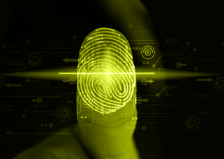 Yellow Fingerprint